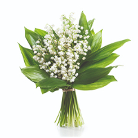 Ann-Kristin Wictorin